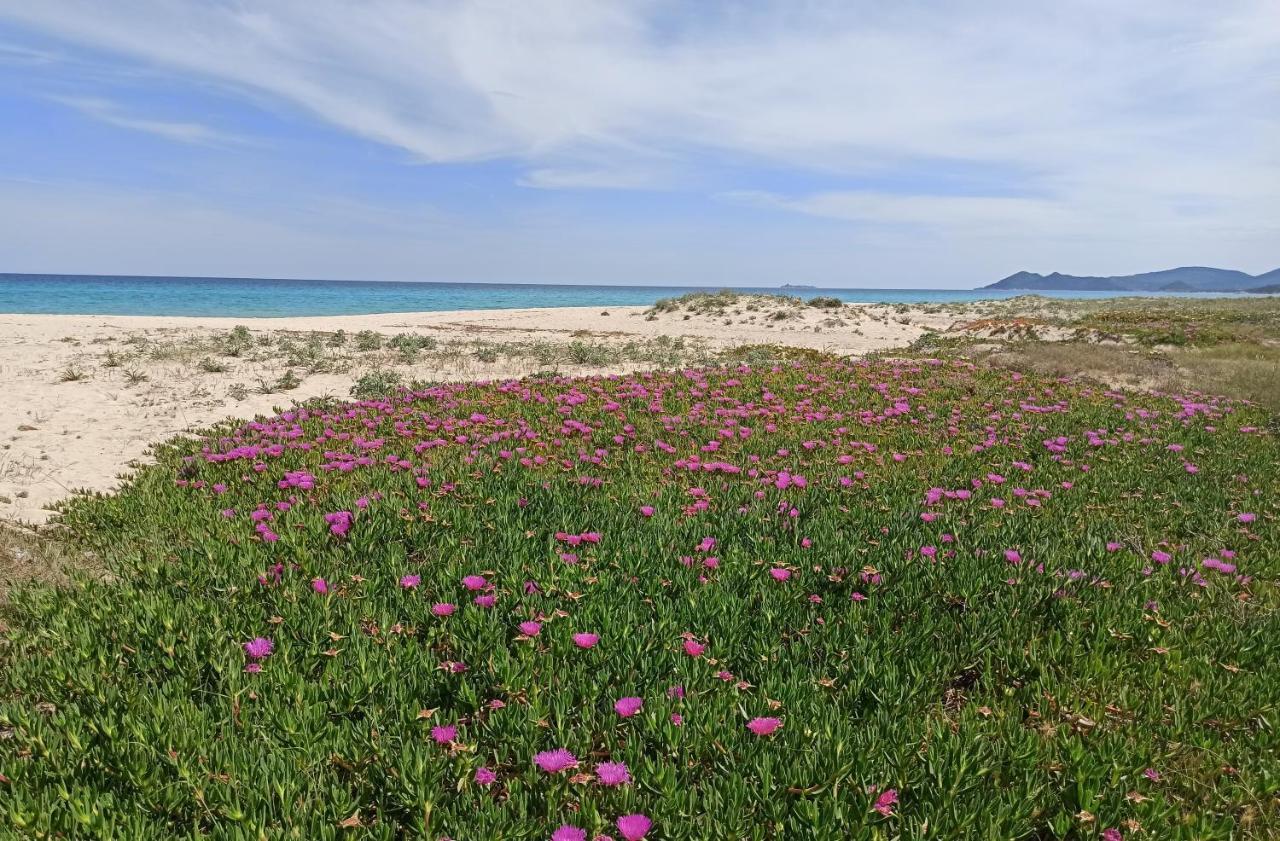 Casa Perla Rei - 50 Meters From The Beach คอสตาเรย์ ภายนอก รูปภาพ