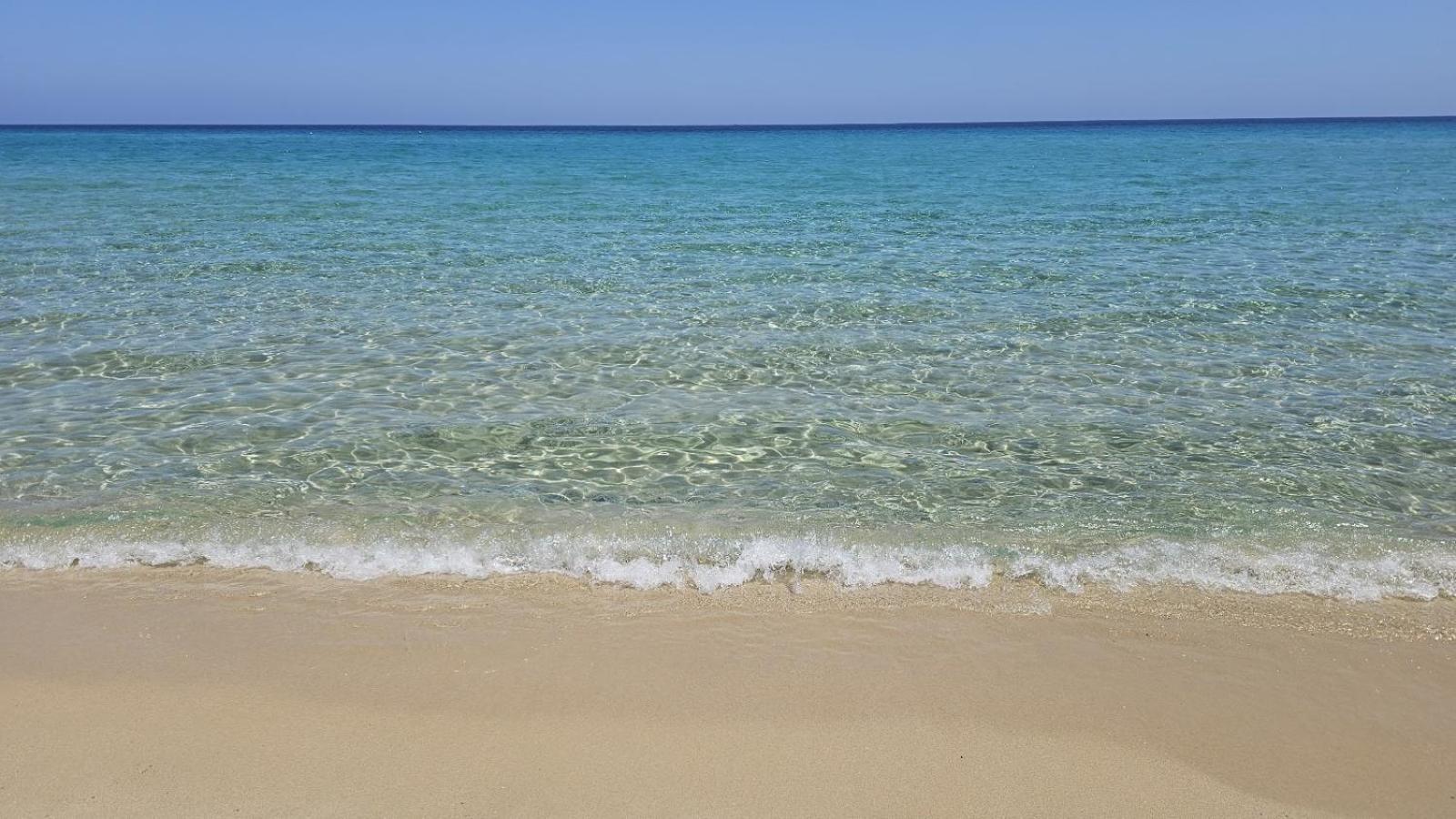 Casa Perla Rei - 50 Meters From The Beach คอสตาเรย์ ภายนอก รูปภาพ